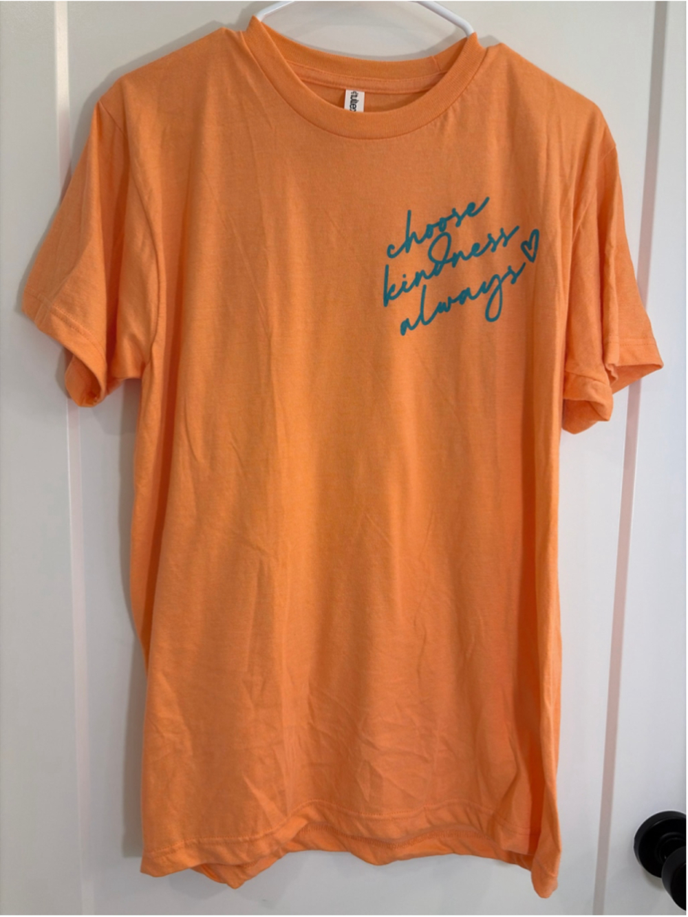 Tultex "Choose Kindness Always" Graphic T-Shirt - Orange/Teal Size Medium - EUC